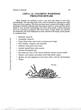 Animals and Their Colorful Markings