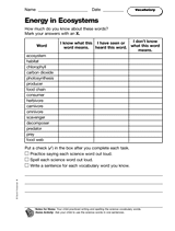 Energy in Ecosystems: Vocabulary