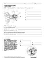 How Do You Hear?